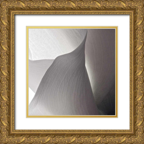 White Callas IV Gold Ornate Wood Framed Art Print with Double Matting by Burkhart, Monika
