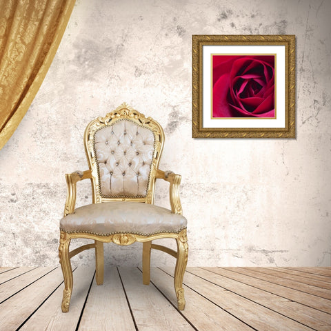 Red Rose II Gold Ornate Wood Framed Art Print with Double Matting by Burkhart, Monika