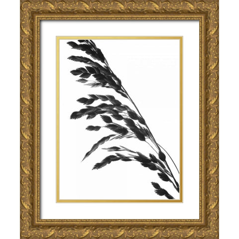 Soliloquy I Gold Ornate Wood Framed Art Print with Double Matting by Burkhart, Monika