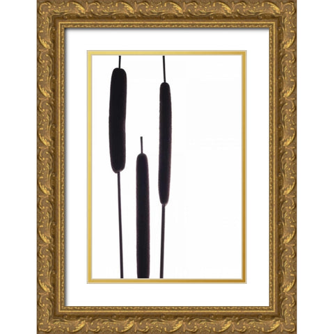 Cat Tails I Gold Ornate Wood Framed Art Print with Double Matting by Burkhart, Monika