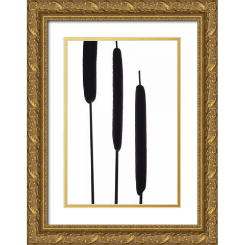 Cat Tails II Gold Ornate Wood Framed Art Print with Double Matting by Burkhart, Monika