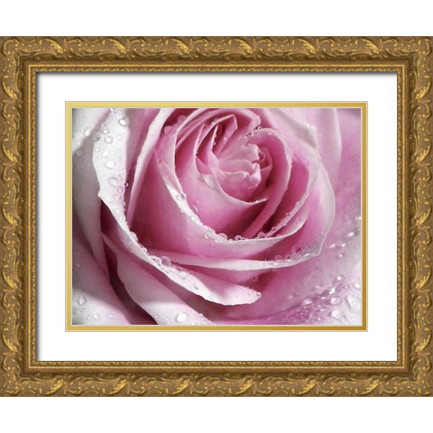 Raindrops and Roses I Gold Ornate Wood Framed Art Print with Double Matting by Burkhart, Monika