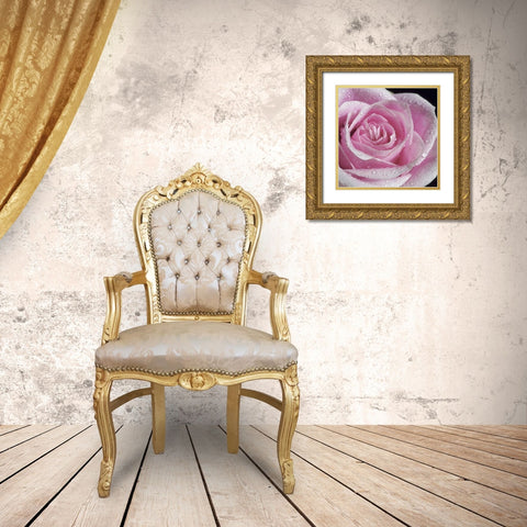 Raindrops and Roses IV Gold Ornate Wood Framed Art Print with Double Matting by Burkhart, Monika