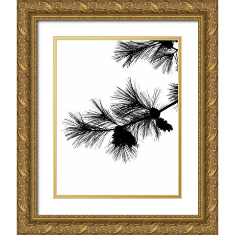 Pine Soliloquy I Gold Ornate Wood Framed Art Print with Double Matting by Burkhart, Monika