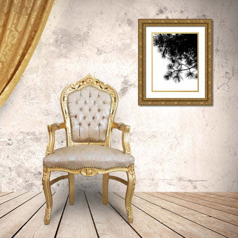 Pine Soliloquy II Gold Ornate Wood Framed Art Print with Double Matting by Burkhart, Monika