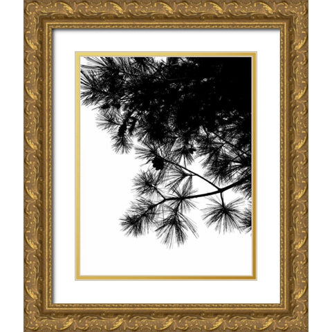 Pine Soliloquy II Gold Ornate Wood Framed Art Print with Double Matting by Burkhart, Monika