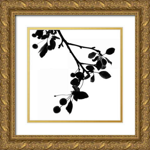 Last of Summer III Gold Ornate Wood Framed Art Print with Double Matting by Burkhart, Monika