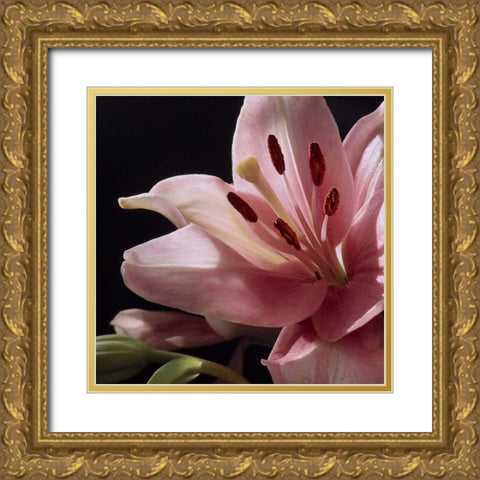 Pink Translucence I Gold Ornate Wood Framed Art Print with Double Matting by Burkhart, Monika