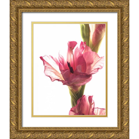Beauty in the Bloom II Gold Ornate Wood Framed Art Print with Double Matting by Burkhart, Monika