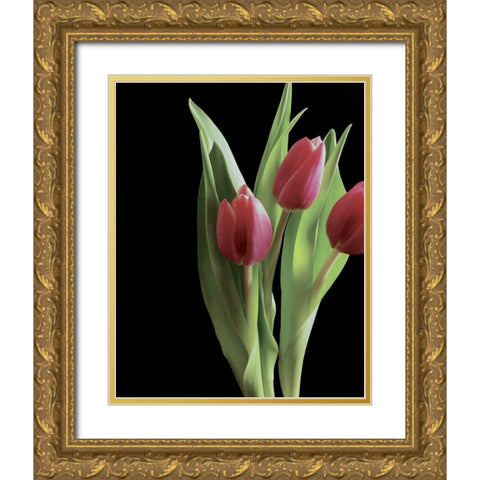 Blush of Spring II Gold Ornate Wood Framed Art Print with Double Matting by Burkhart, Monika
