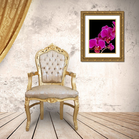 Orchid Essence I Gold Ornate Wood Framed Art Print with Double Matting by Burkhart, Monika
