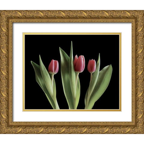 Blush of Spring III Gold Ornate Wood Framed Art Print with Double Matting by Burkhart, Monika