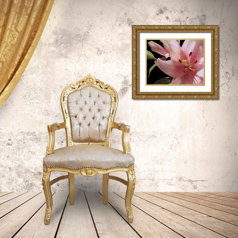 Pink Translucence III Gold Ornate Wood Framed Art Print with Double Matting by Burkhart, Monika