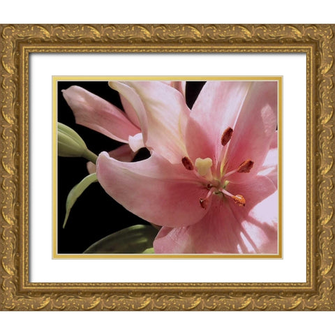 Pink Translucence III Gold Ornate Wood Framed Art Print with Double Matting by Burkhart, Monika