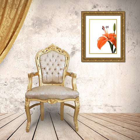 Daylily II Gold Ornate Wood Framed Art Print with Double Matting by Burkhart, Monika