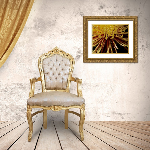 Sun Dance I Gold Ornate Wood Framed Art Print with Double Matting by Burkhart, Monika