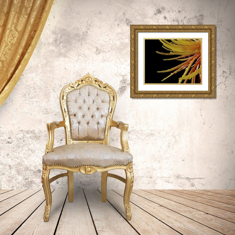 Sun Dance II Gold Ornate Wood Framed Art Print with Double Matting by Burkhart, Monika