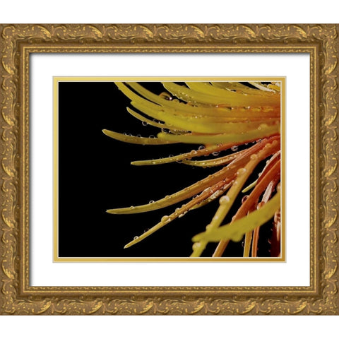 Sun Dance II Gold Ornate Wood Framed Art Print with Double Matting by Burkhart, Monika