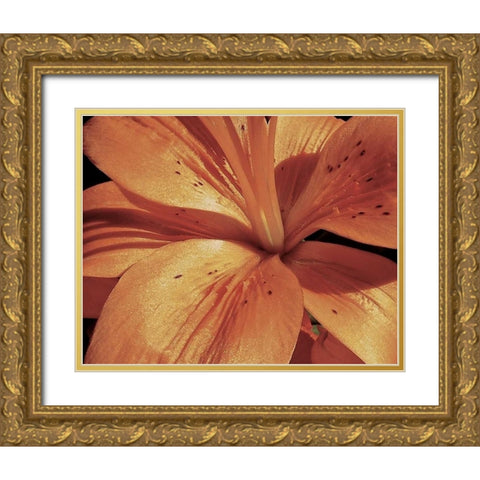 Exotique II Gold Ornate Wood Framed Art Print with Double Matting by Burkhart, Monika
