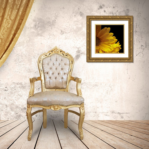Sun Sparkled I Gold Ornate Wood Framed Art Print with Double Matting by Burkhart, Monika