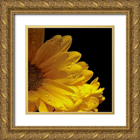 Sun Sparkled I Gold Ornate Wood Framed Art Print with Double Matting by Burkhart, Monika