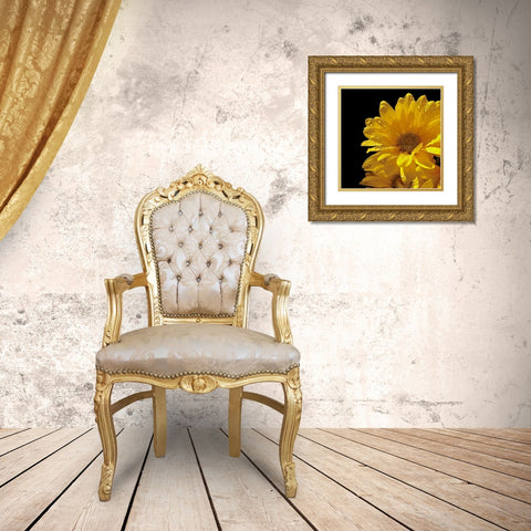 Sun Sparkled II Gold Ornate Wood Framed Art Print with Double Matting by Burkhart, Monika