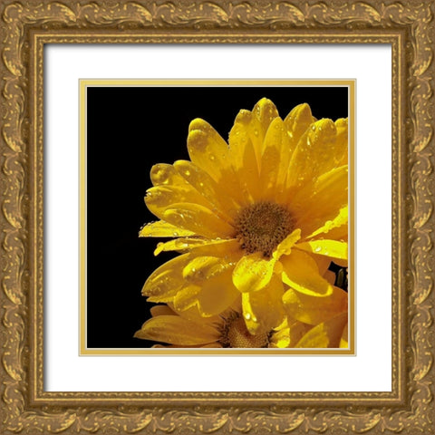Sun Sparkled II Gold Ornate Wood Framed Art Print with Double Matting by Burkhart, Monika