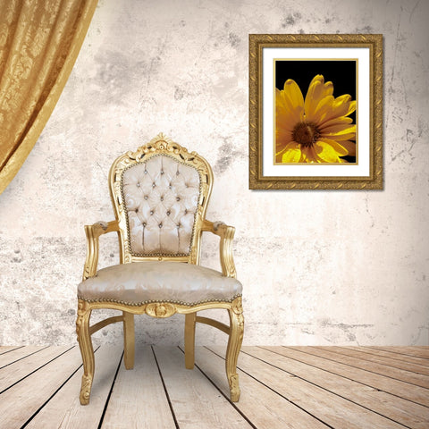 Sun Sparkled III Gold Ornate Wood Framed Art Print with Double Matting by Burkhart, Monika