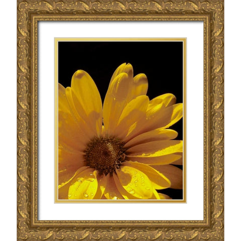 Sun Sparkled III Gold Ornate Wood Framed Art Print with Double Matting by Burkhart, Monika