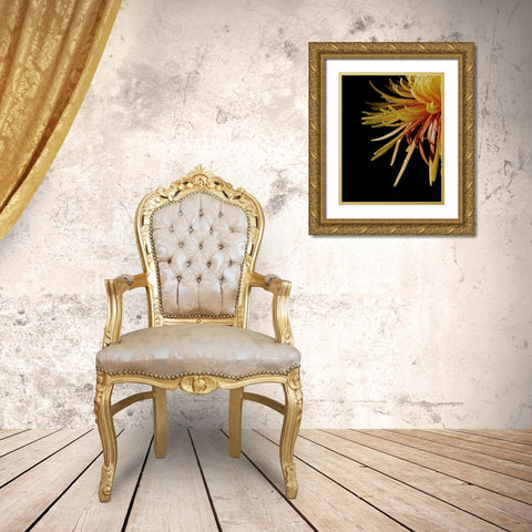 Sun Dance III Gold Ornate Wood Framed Art Print with Double Matting by Burkhart, Monika