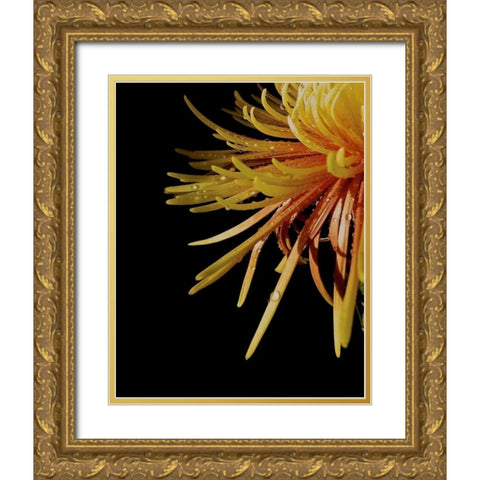Sun Dance III Gold Ornate Wood Framed Art Print with Double Matting by Burkhart, Monika