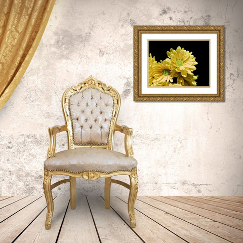 Daisy Dazzle I Gold Ornate Wood Framed Art Print with Double Matting by Burkhart, Monika