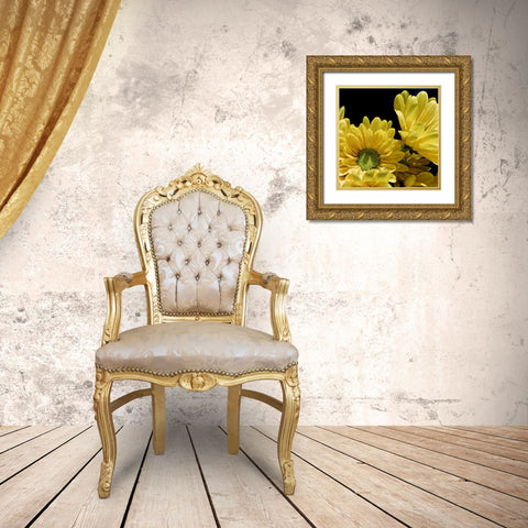 Daisy Dazzle II Gold Ornate Wood Framed Art Print with Double Matting by Burkhart, Monika