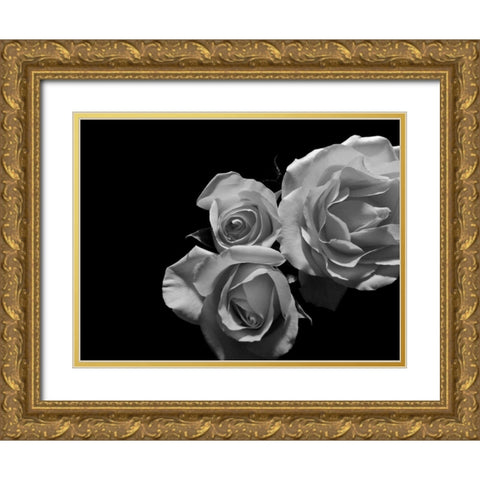 LEssence de la Rose BW II Gold Ornate Wood Framed Art Print with Double Matting by Burkhart, Monika