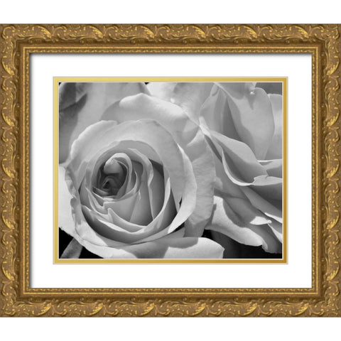 LEssence de la Rose BW III Gold Ornate Wood Framed Art Print with Double Matting by Burkhart, Monika