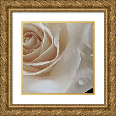 Rose Droplets Gold Ornate Wood Framed Art Print with Double Matting by Burkhart, Monika