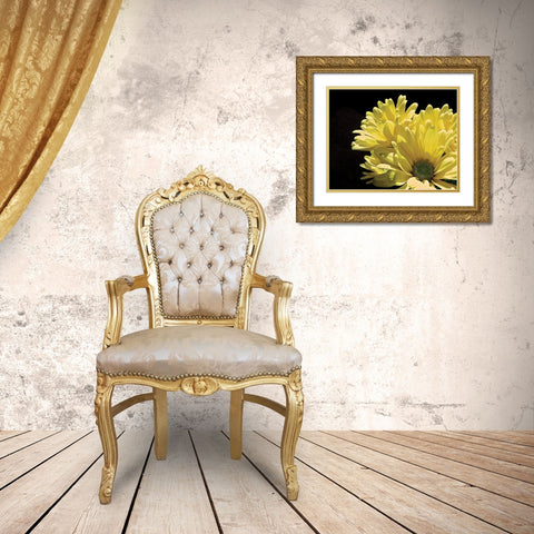 Yellow Daisy II Gold Ornate Wood Framed Art Print with Double Matting by Burkhart, Monika