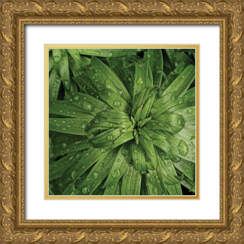Nature Up-Close I Gold Ornate Wood Framed Art Print with Double Matting by Burkhart, Monika