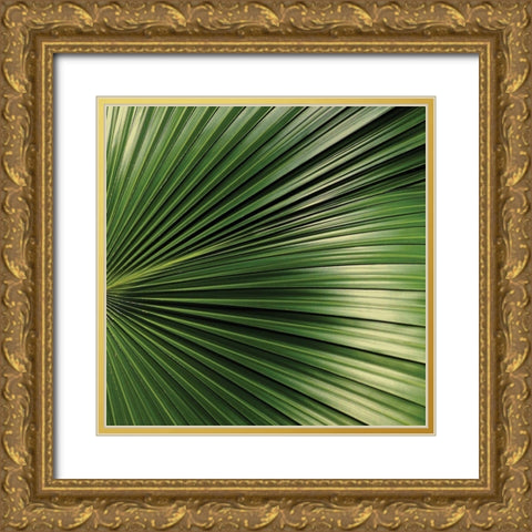 Nature Up-Close IV Gold Ornate Wood Framed Art Print with Double Matting by Burkhart, Monika