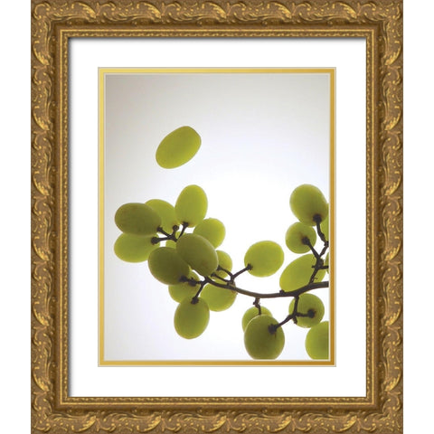 Grape Bunch II Gold Ornate Wood Framed Art Print with Double Matting by Burkhart, Monika