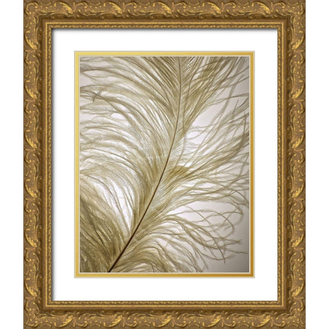 Feather Close-Up I Gold Ornate Wood Framed Art Print with Double Matting by Burkhart, Monika