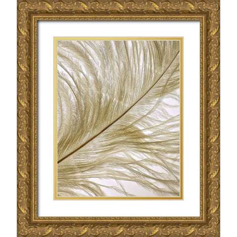 Feather Close-Up II Gold Ornate Wood Framed Art Print with Double Matting by Burkhart, Monika