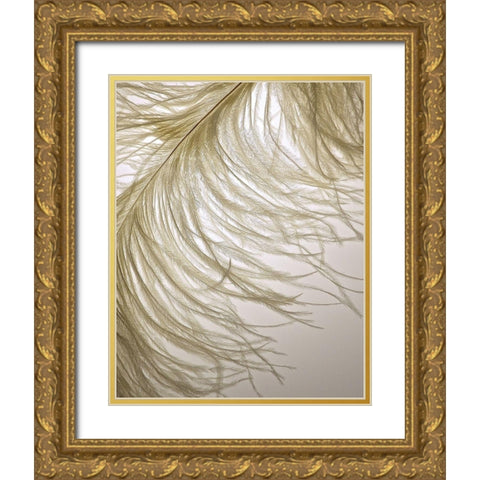 Feather Close-Up III Gold Ornate Wood Framed Art Print with Double Matting by Burkhart, Monika