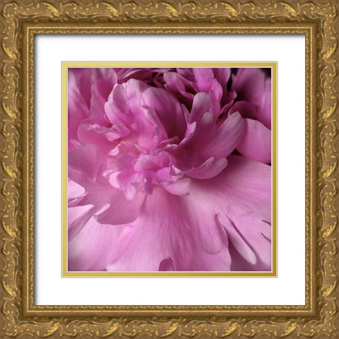 Spring Peonies I Gold Ornate Wood Framed Art Print with Double Matting by Burkhart, Monika