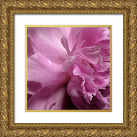 Spring Peonies II Gold Ornate Wood Framed Art Print with Double Matting by Burkhart, Monika
