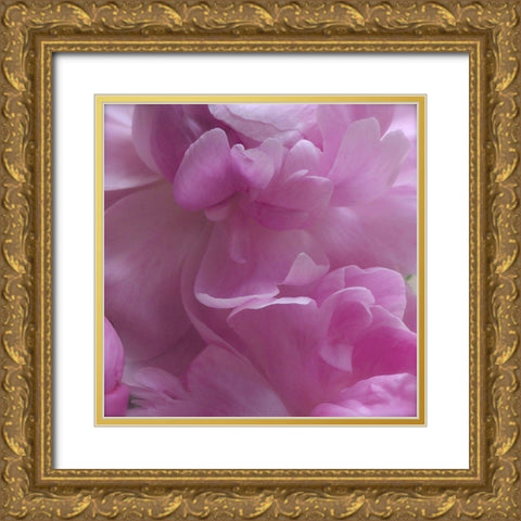 Spring Peonies III Gold Ornate Wood Framed Art Print with Double Matting by Burkhart, Monika