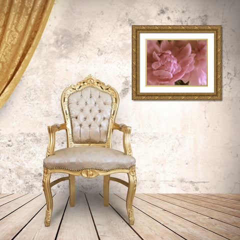 Soft Peonies II Gold Ornate Wood Framed Art Print with Double Matting by Burkhart, Monika