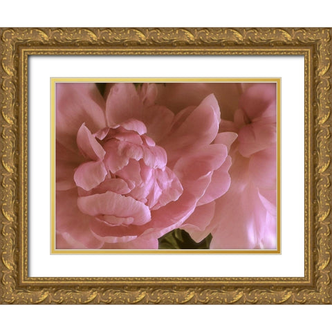 Soft Peonies II Gold Ornate Wood Framed Art Print with Double Matting by Burkhart, Monika