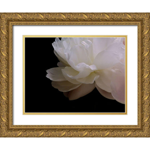 White Peony I Gold Ornate Wood Framed Art Print with Double Matting by Burkhart, Monika