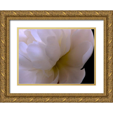 White Peony II Gold Ornate Wood Framed Art Print with Double Matting by Burkhart, Monika